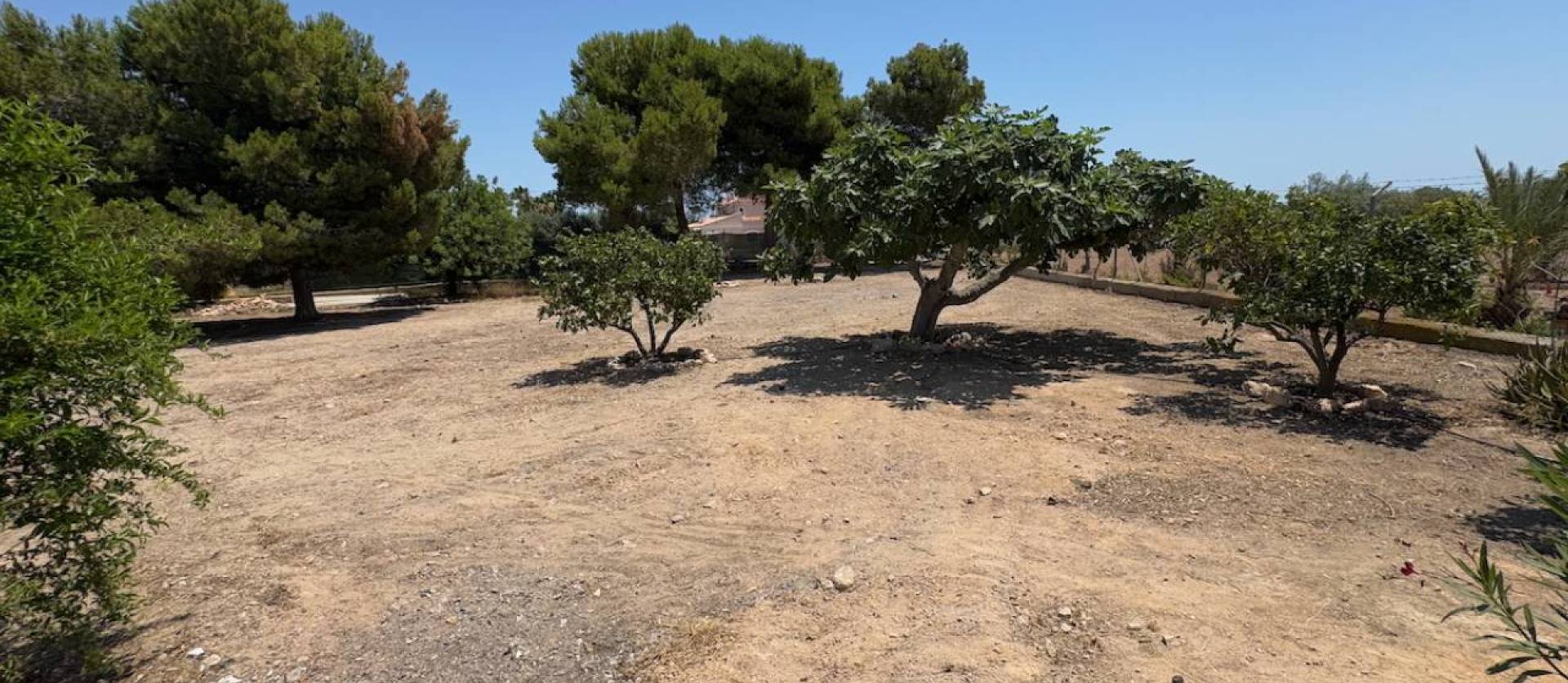 Bestaande woningen - Landelijk huis - Torrellano
