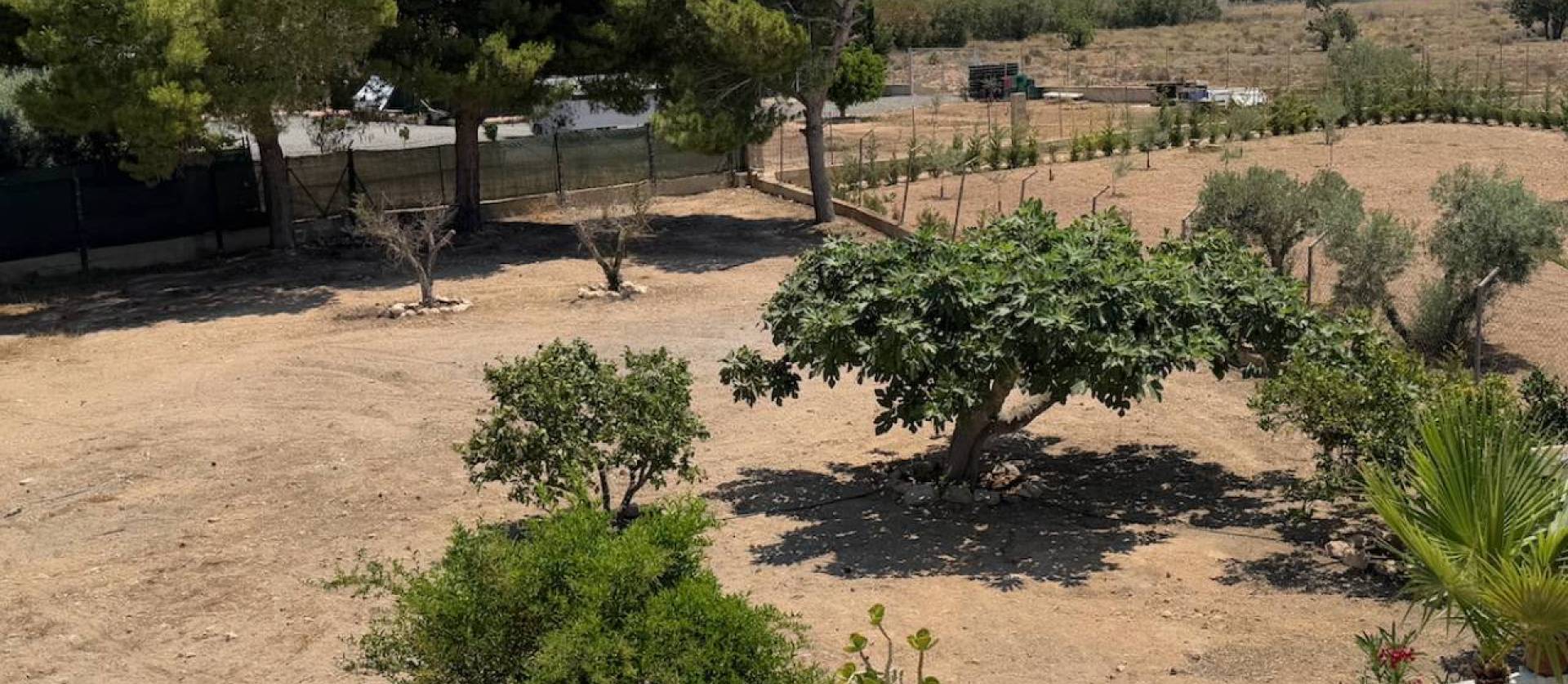 Bestaande woningen - Landelijk huis - Torrellano