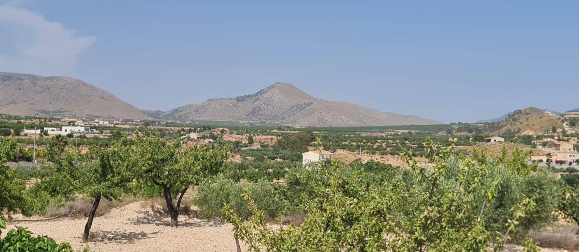 Revente - Land - Abanilla