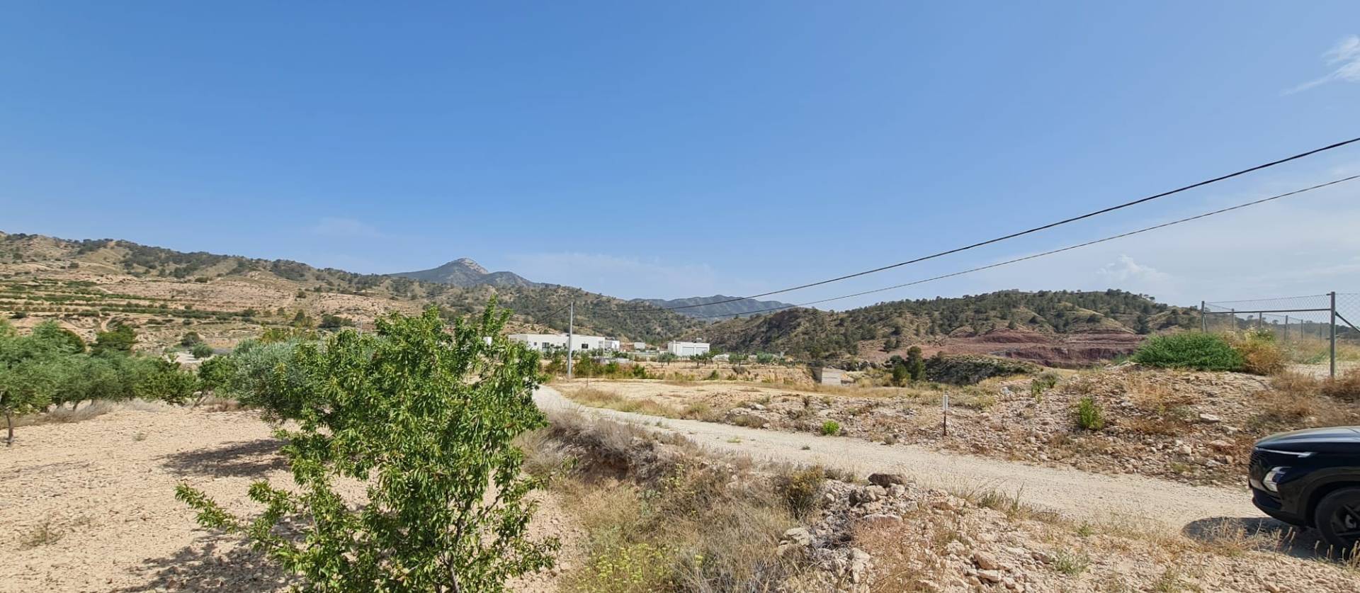 Revente - Land - Abanilla