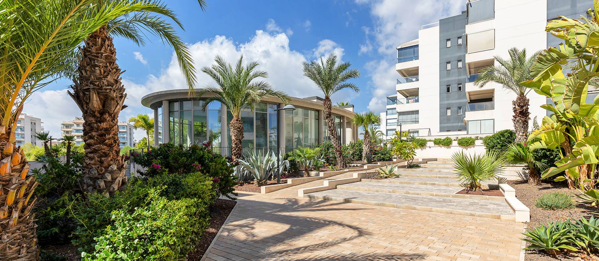 Venta - Apartment - Orihuela - Orihuela Costa