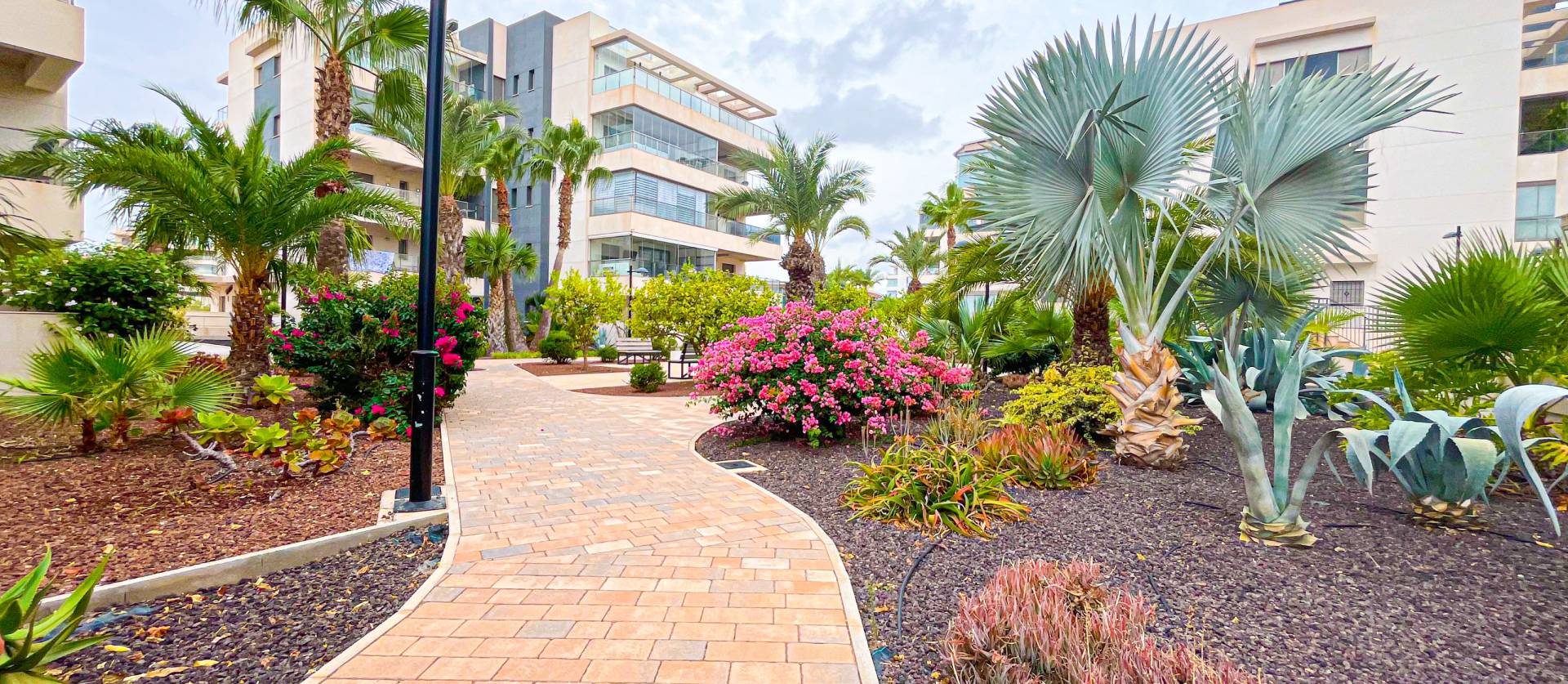 Venta - Apartment - Orihuela - Orihuela Costa