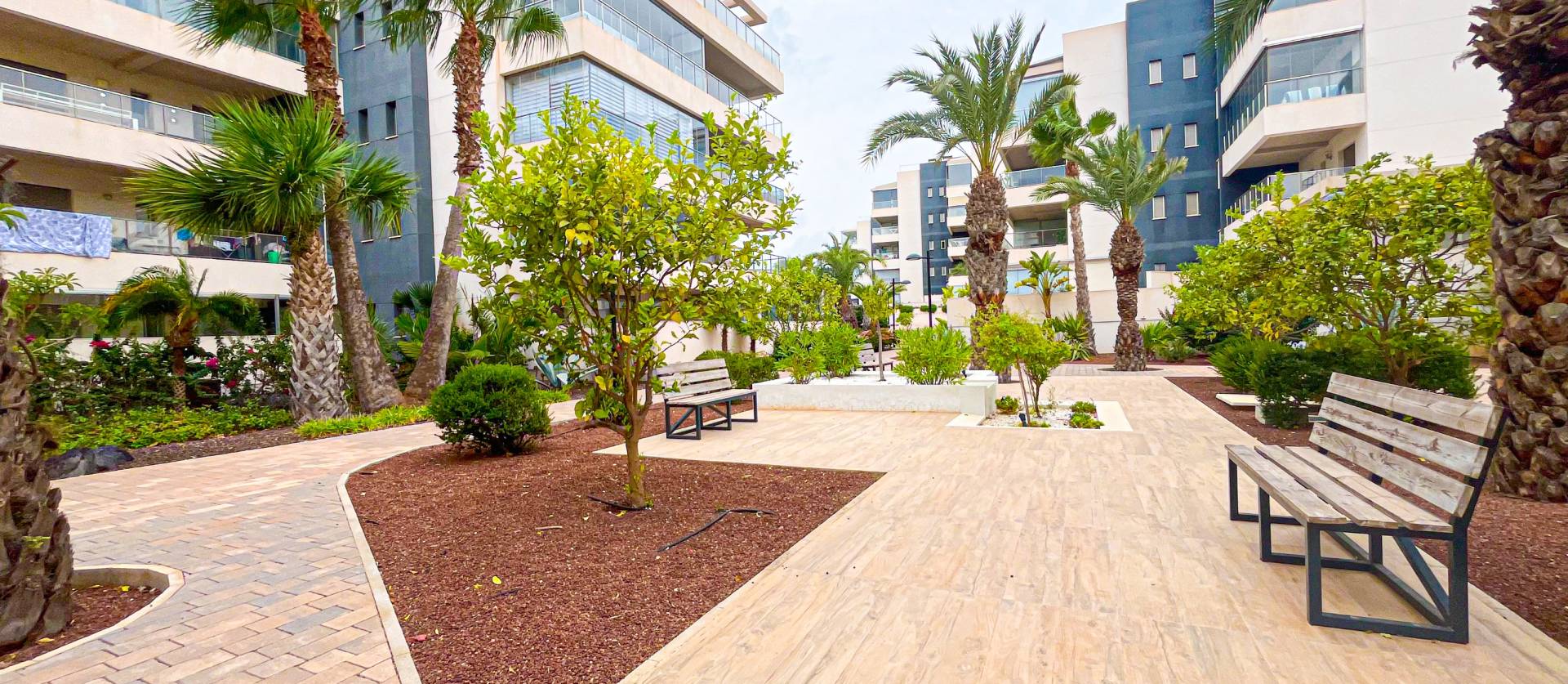 Venta - Apartment - Orihuela - Orihuela Costa