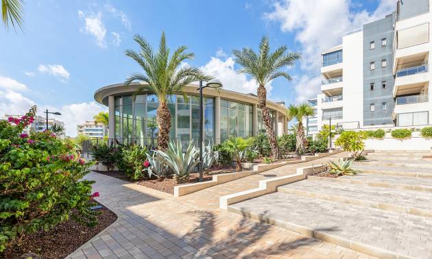 Venta - Apartment - Orihuela - Orihuela Costa