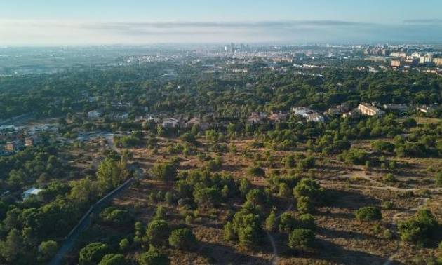 Nueva construcción  - Adosado - Godella - Campolivar