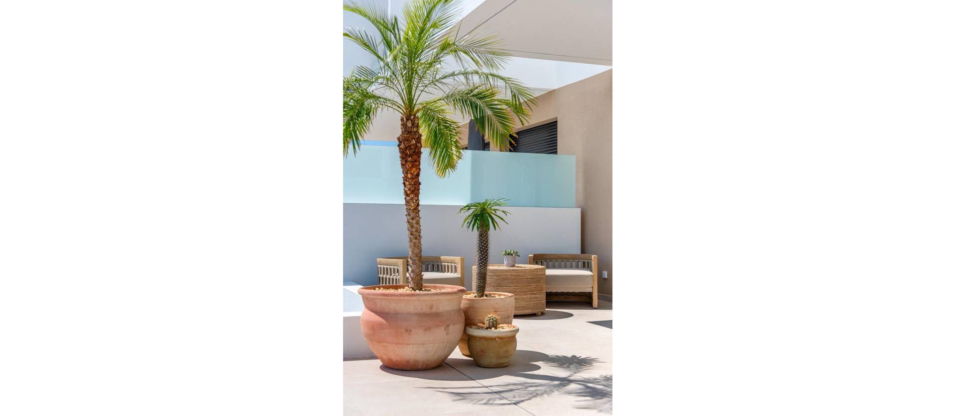 Nueva construcción  - Adosado - Dolores - Sector 3