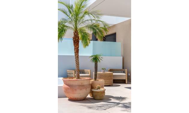 Nueva construcción  -  - Dolores - Sector 3