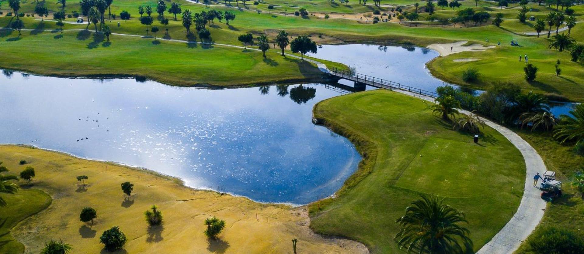 Nueva construcción  - Villa - Orihuela - Vistabella Golf