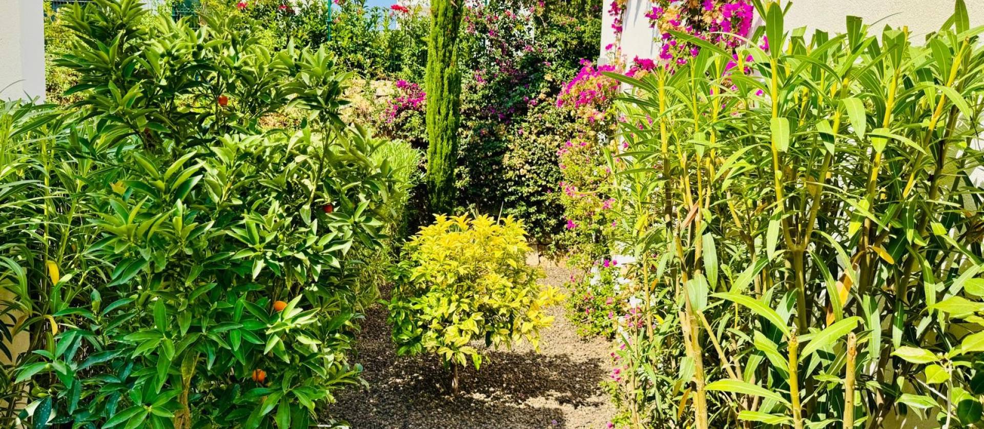 Venta - Villa - Algorfa - La Finca Golf