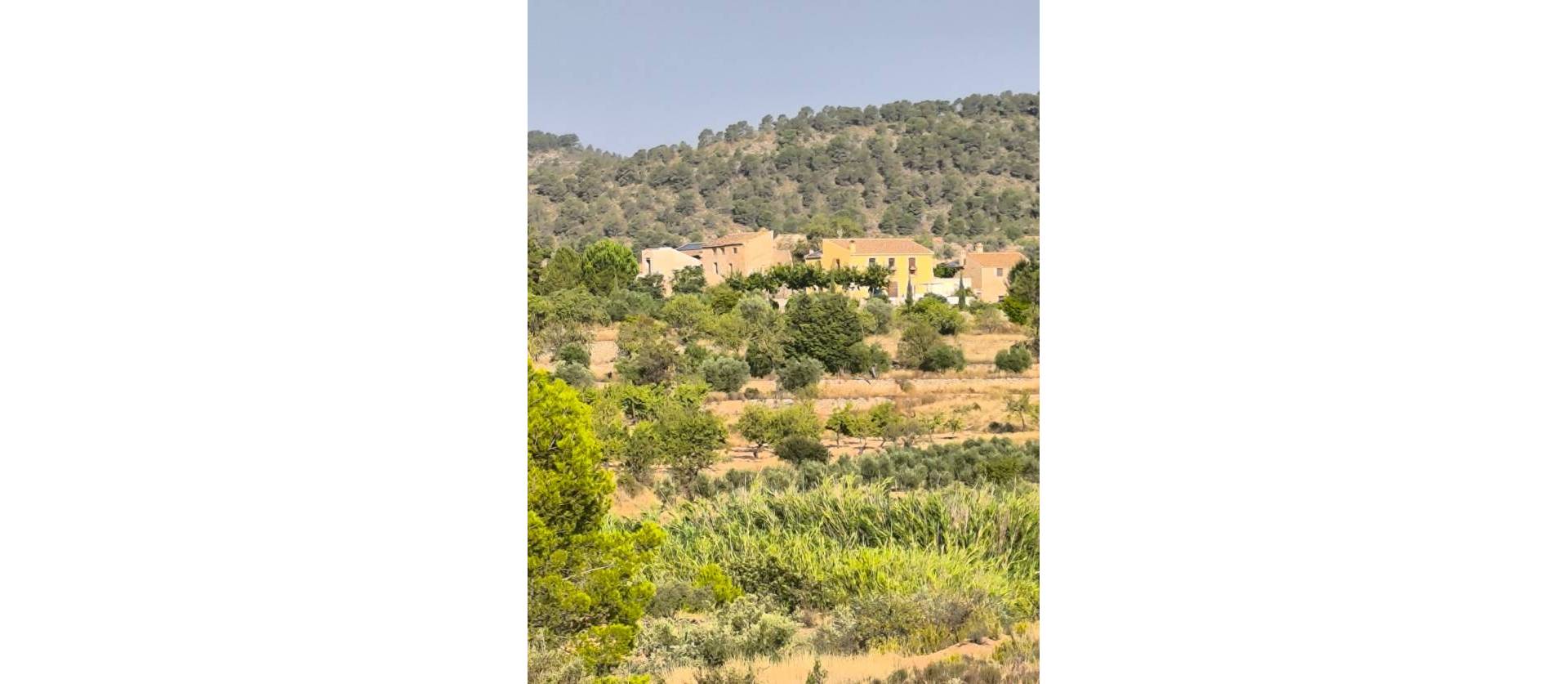 Sale - Commercial - Casas del Senor