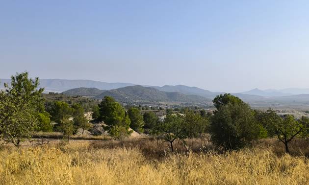 Sale - Commercial - Casas del Senor