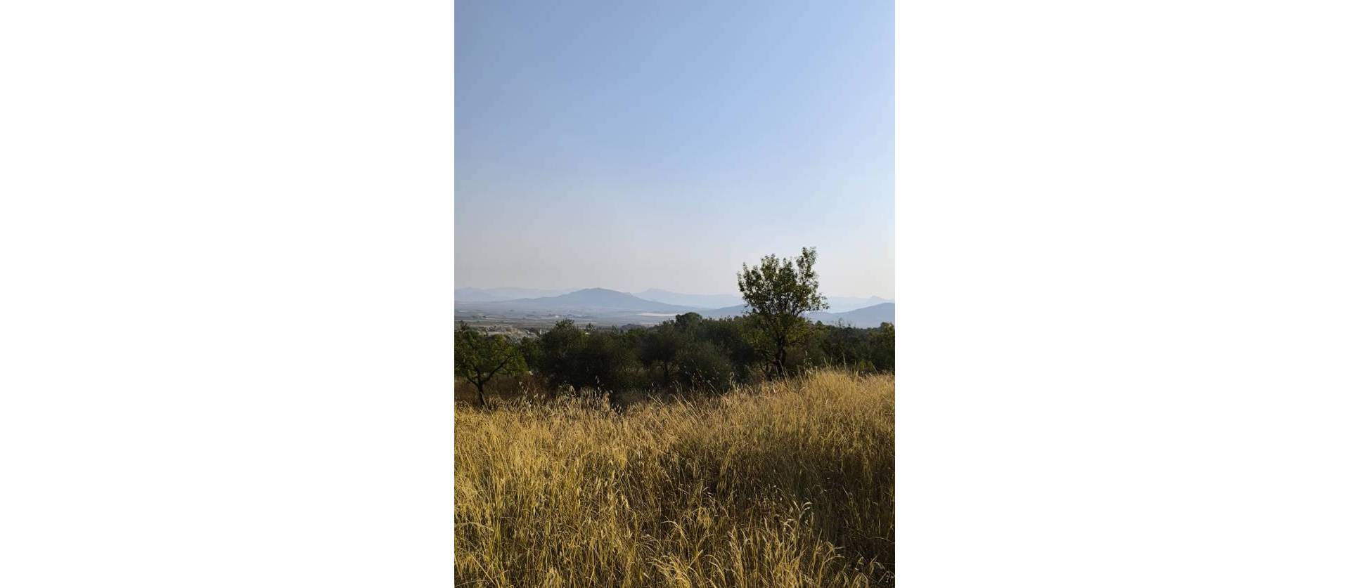 Sale - Commercial - Casas del Senor