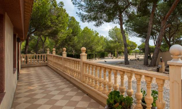 Bestaande woningen - Landelijk huis - Torremendo