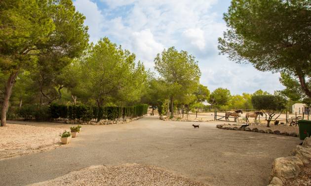 Bestaande woningen - Landelijk huis - Torremendo