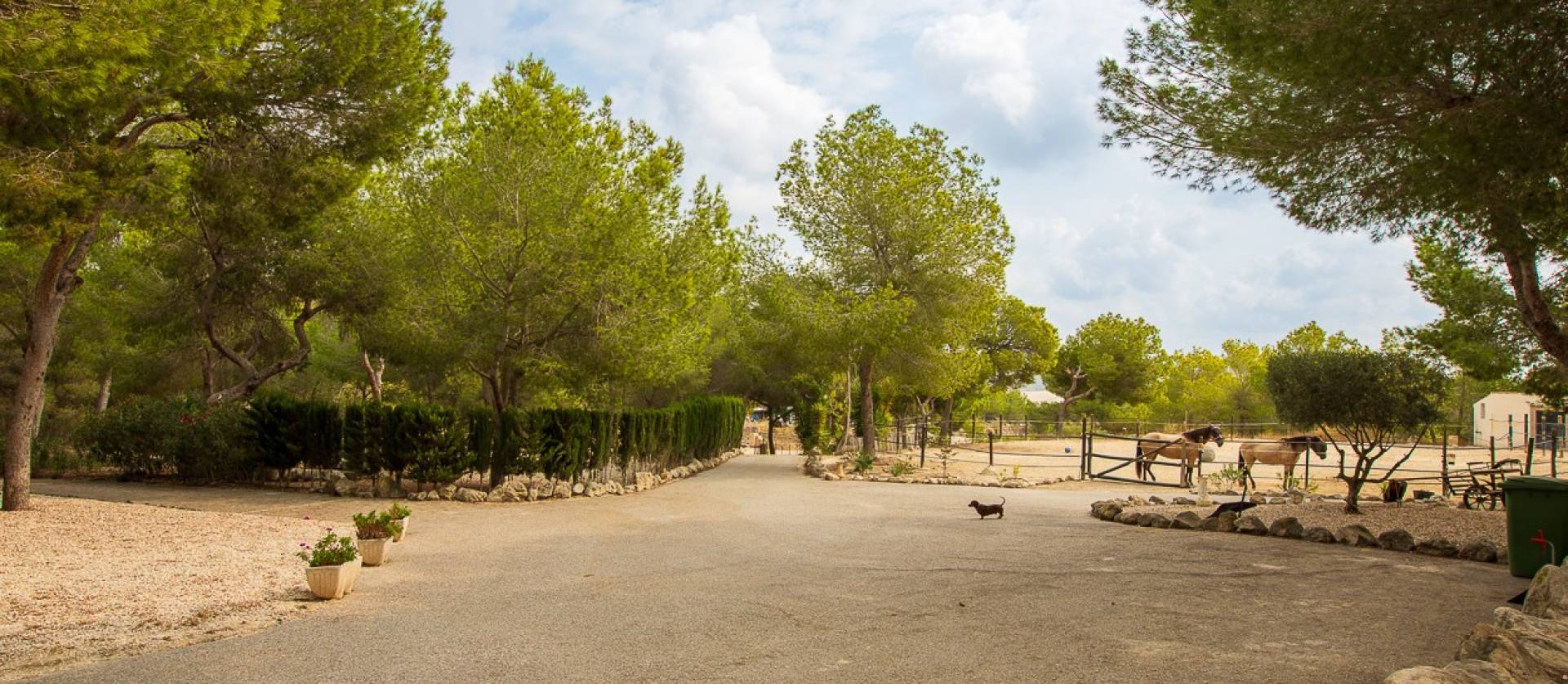 Bestaande woningen - Landelijk huis - Torremendo