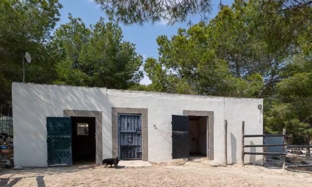 Bestaande woningen - Landelijk huis - Torremendo