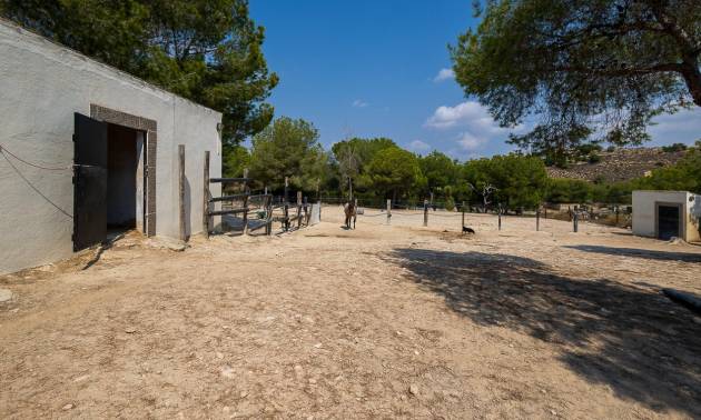 Bestaande woningen - Landelijk huis - Torremendo