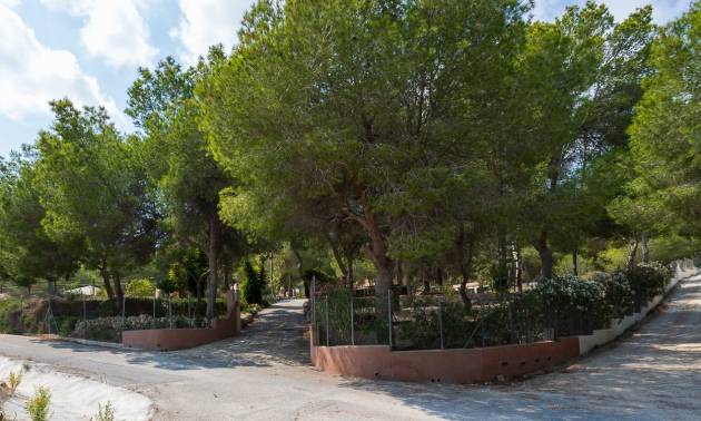 Bestaande woningen - Landelijk huis - Torremendo