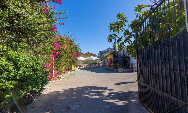 Venta - Apartment - Guardamar del Segura - Urb. pinomar