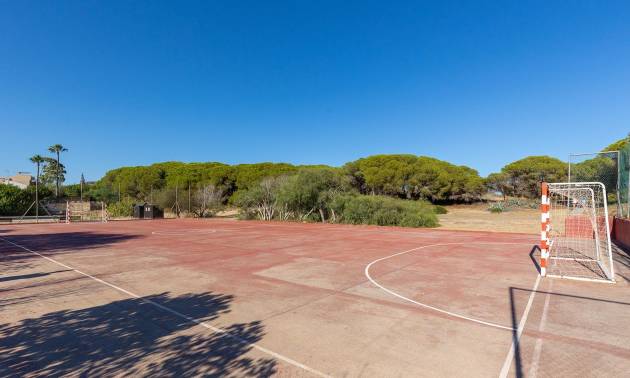 Venta - Apartment - Guardamar del Segura - Urb. pinomar