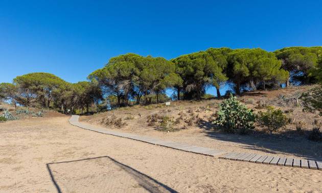 Venta - Apartment - Guardamar del Segura - Urb. pinomar