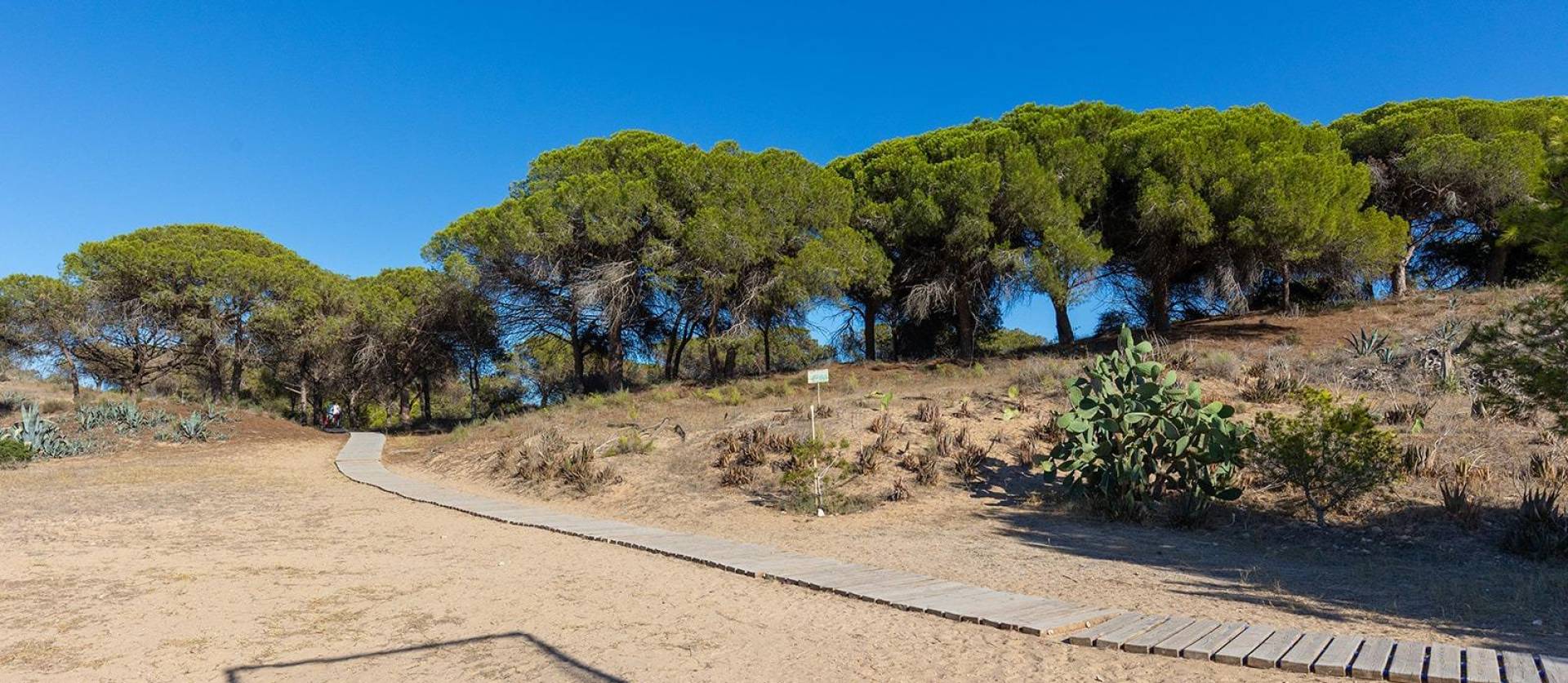 Venta - Apartment - Guardamar del Segura - Urb. pinomar