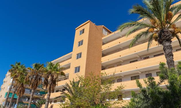 Venta - Apartment - Guardamar del Segura - Urb. pinomar