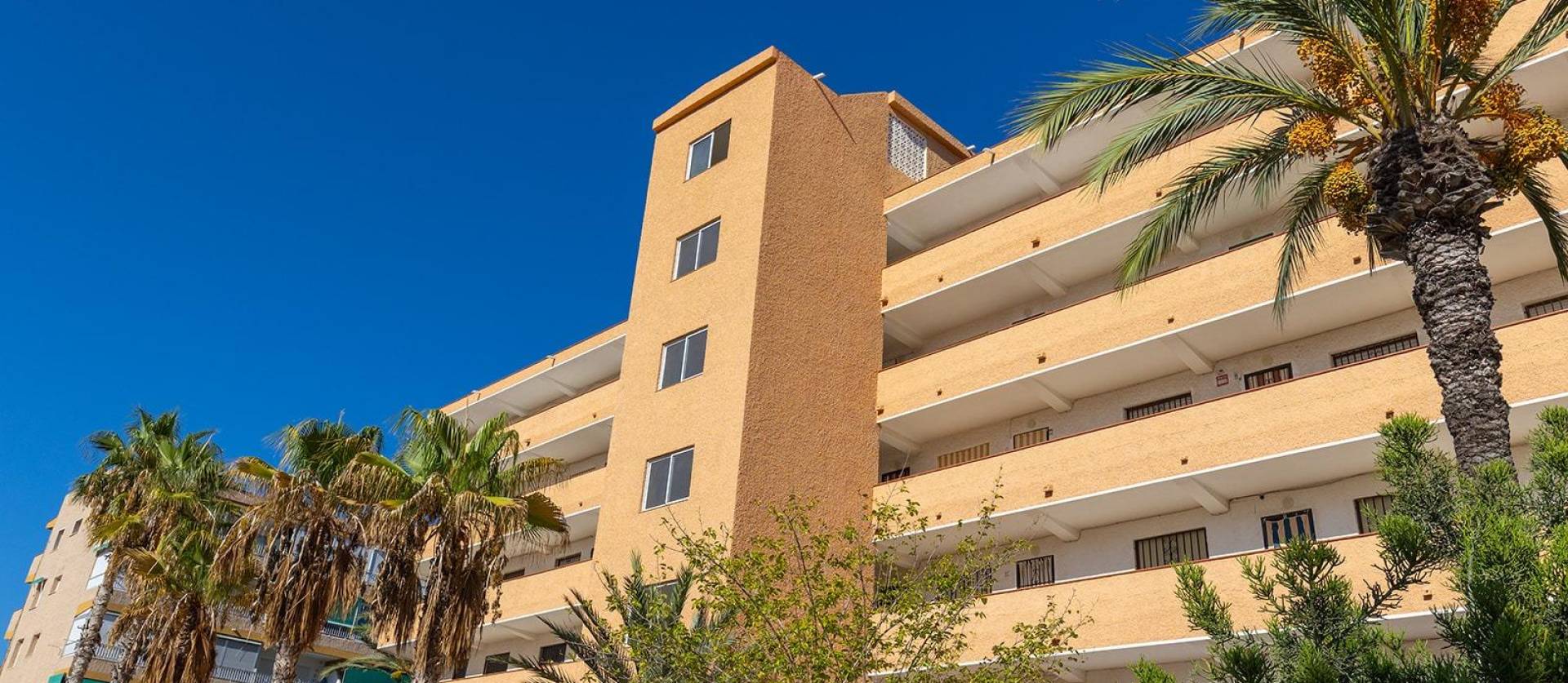 Venta - Apartment - Guardamar del Segura - Urb. pinomar
