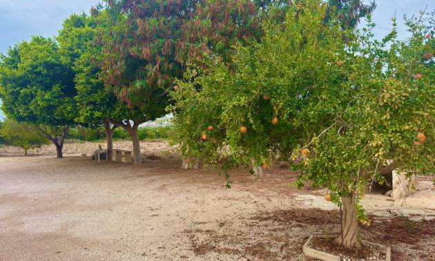 Venta - Country House - Rojales - Ciudad Quesada