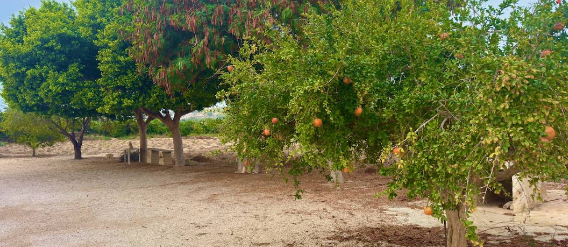 Venta - Country House - Rojales - Ciudad Quesada