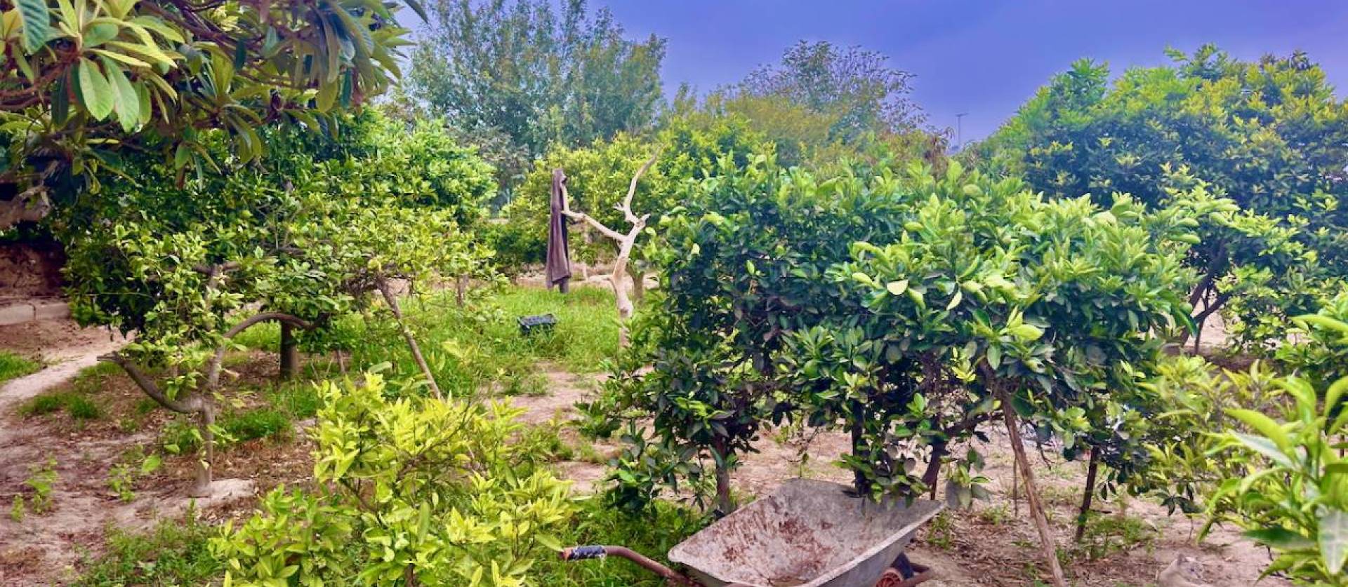 Venta - Country House - Rojales - Ciudad Quesada