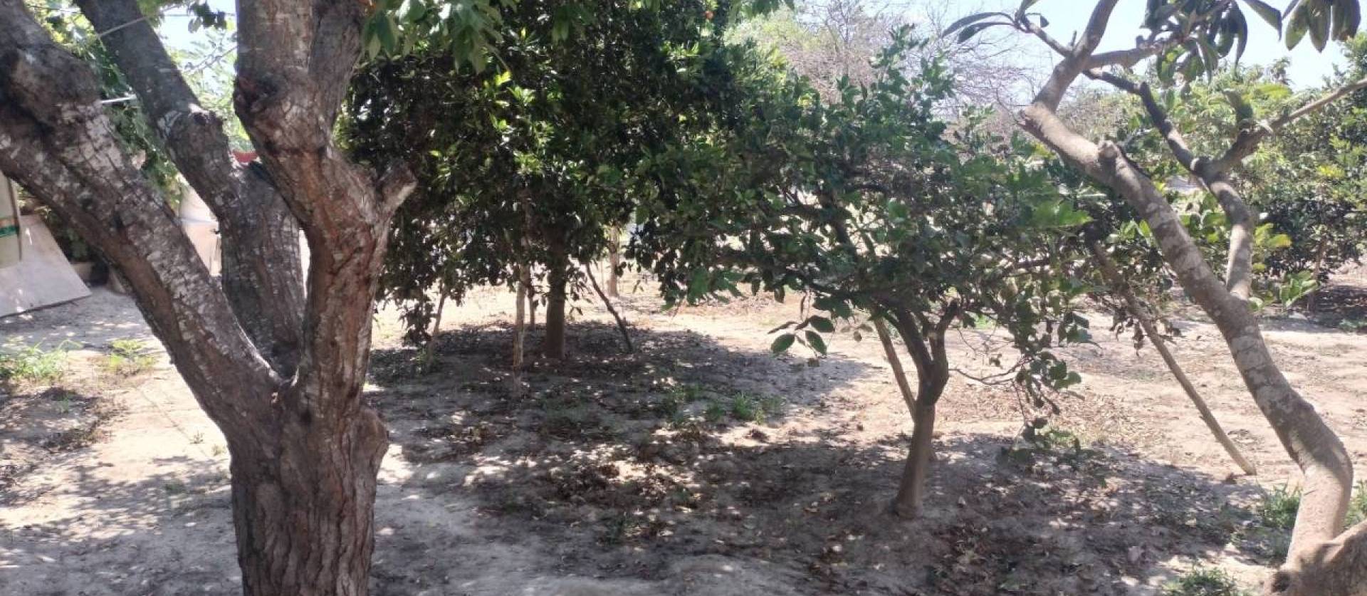 Venta - Country House - Rojales - Ciudad Quesada