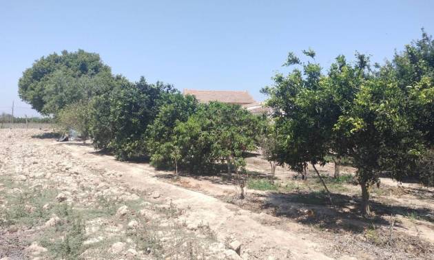 Venta - Country House - Rojales - Ciudad Quesada