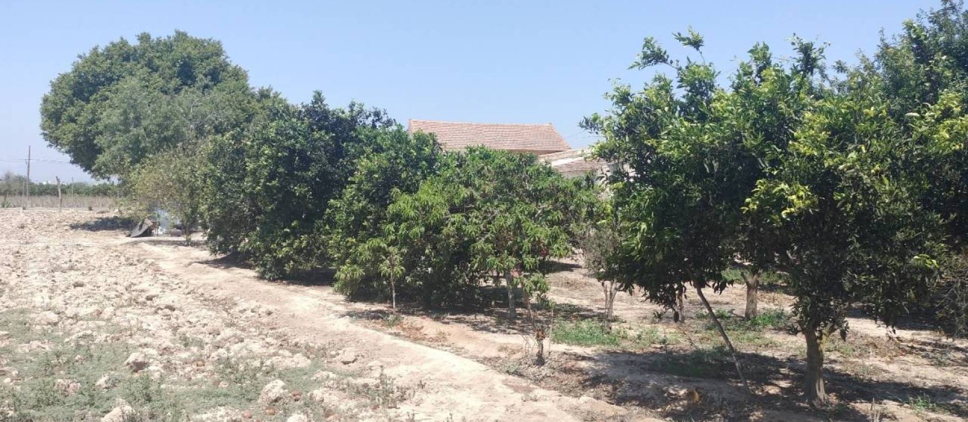 Venta - Country House - Rojales - Ciudad Quesada