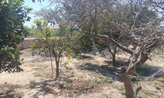 Venta - Country House - Rojales - Ciudad Quesada