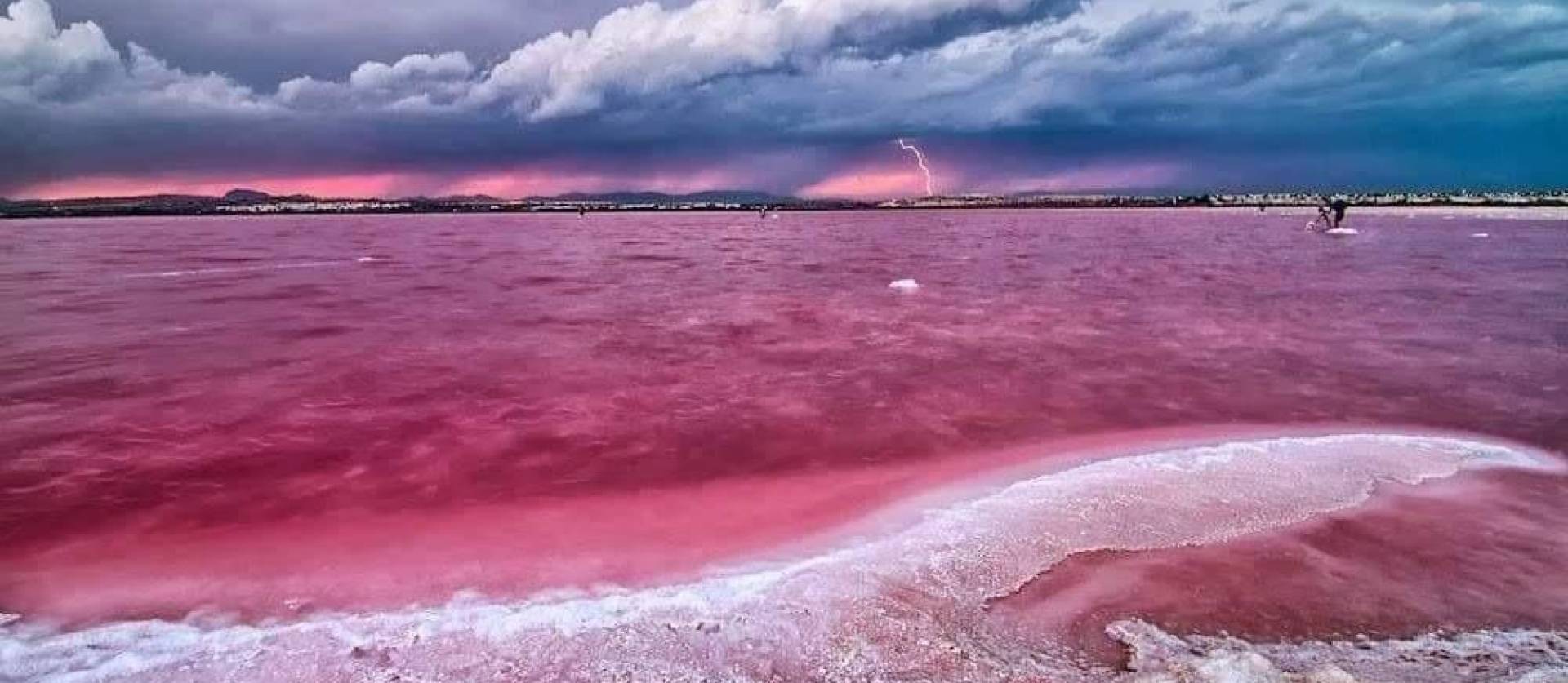 Nueva construcción  - Apartment - Torrevieja - Center