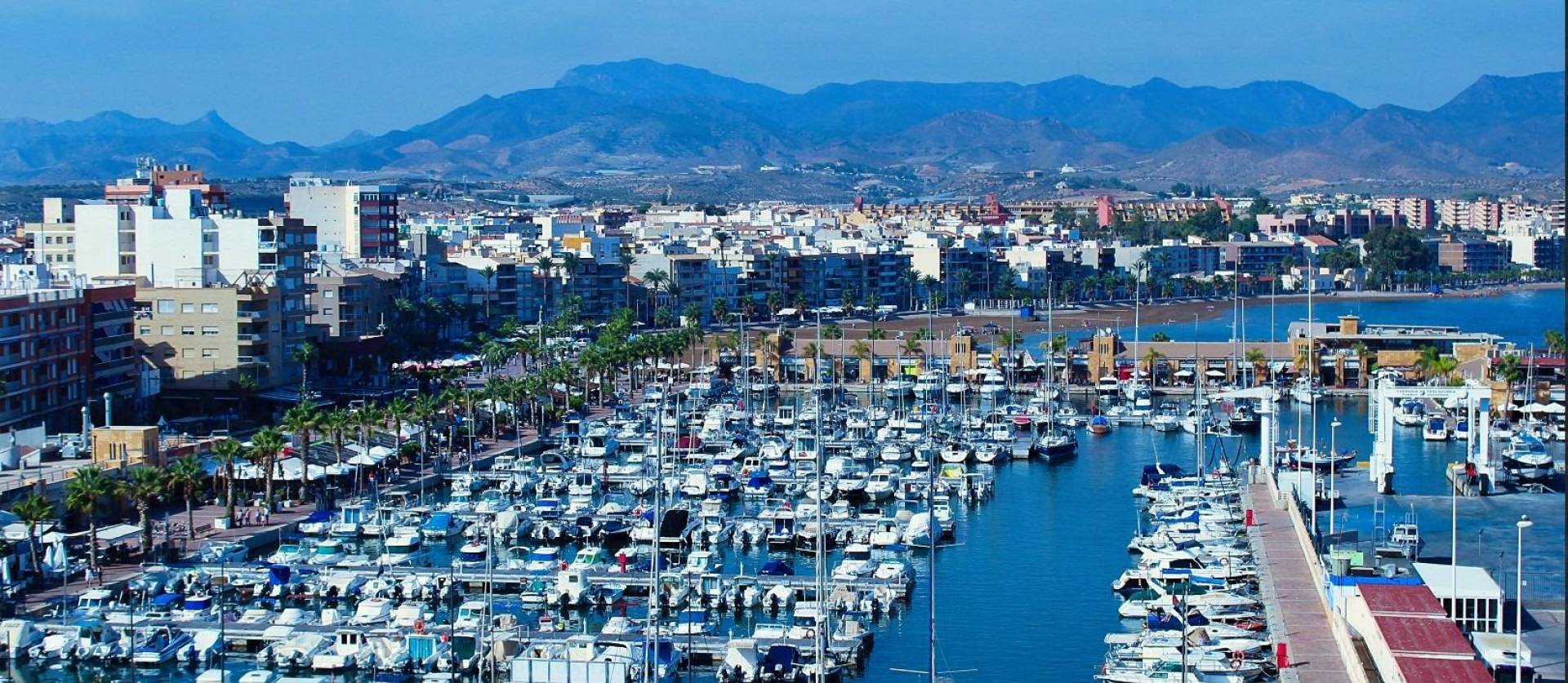 Nueva construcción  - Bungalow - Fuente Alamo - La Pinilla