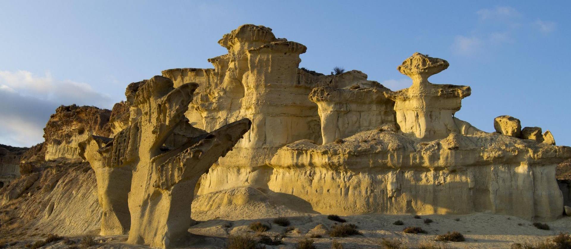 Nueva construcción  - Bungalow - Fuente Alamo - La Pinilla