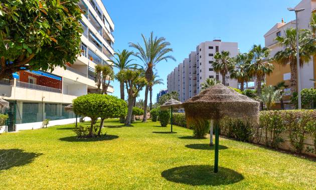 Venta - Apartment - Torrevieja - Rocio del mar