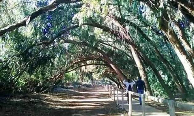 Nueva construcción  - Bungalow - Torrevieja - Altos del Sol