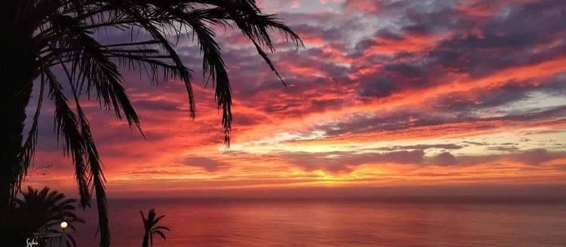 Nueva construcción  - Bungalow - Torrevieja - Altos del Sol