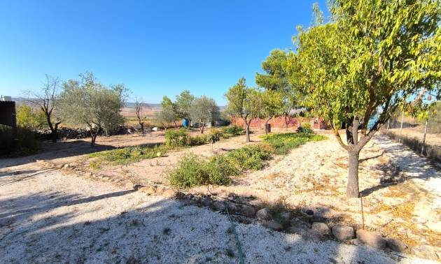 Bestaande woningen - Villa - Yecla