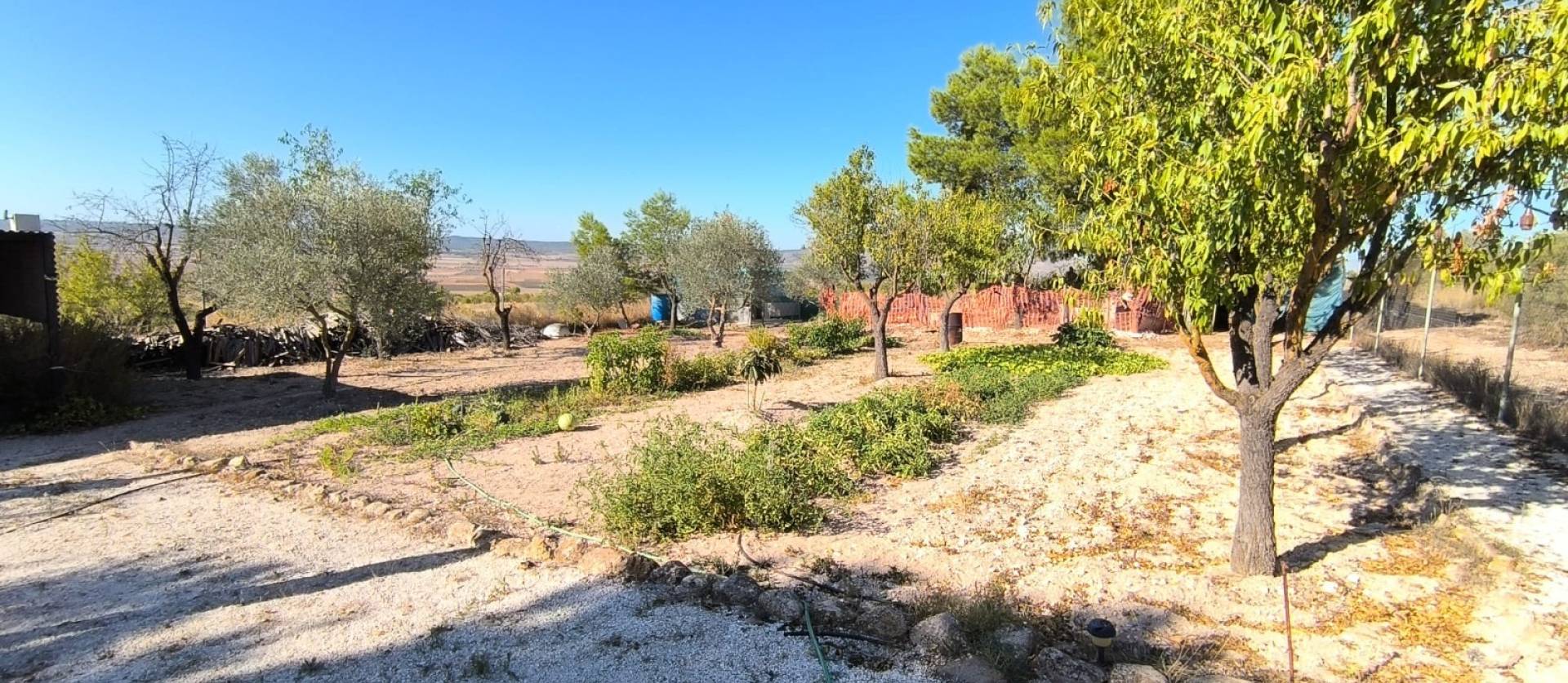 Bestaande woningen - Villa - Yecla