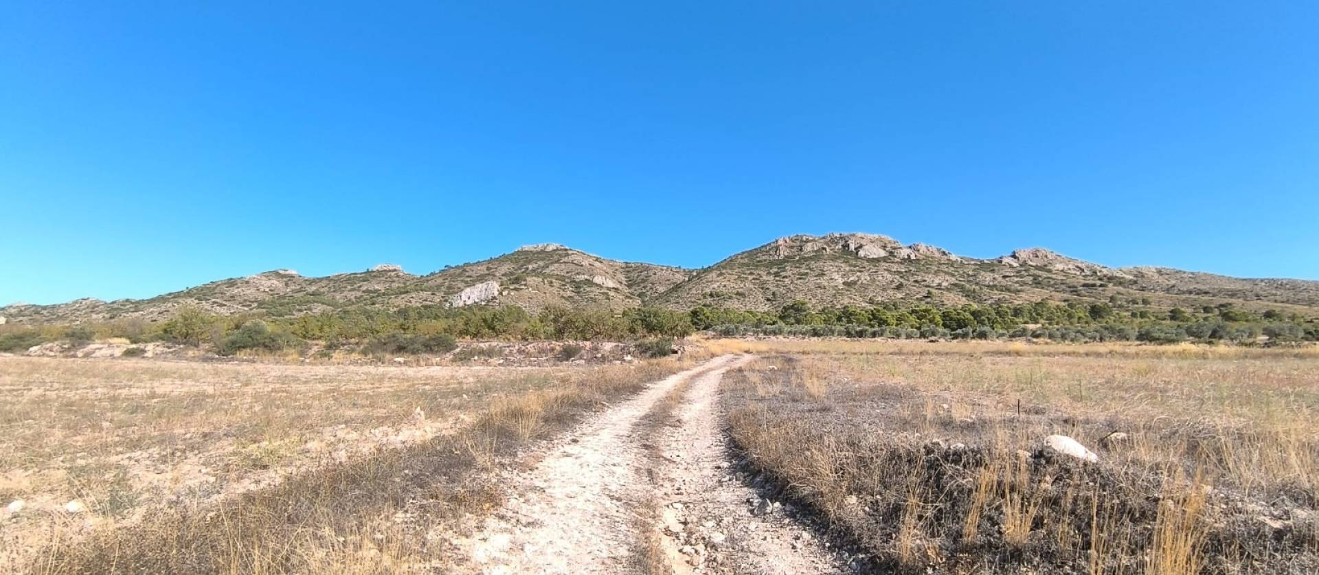 Bestaande woningen - Villa - Yecla