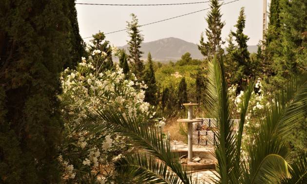 Sale - Commercial - Salinas