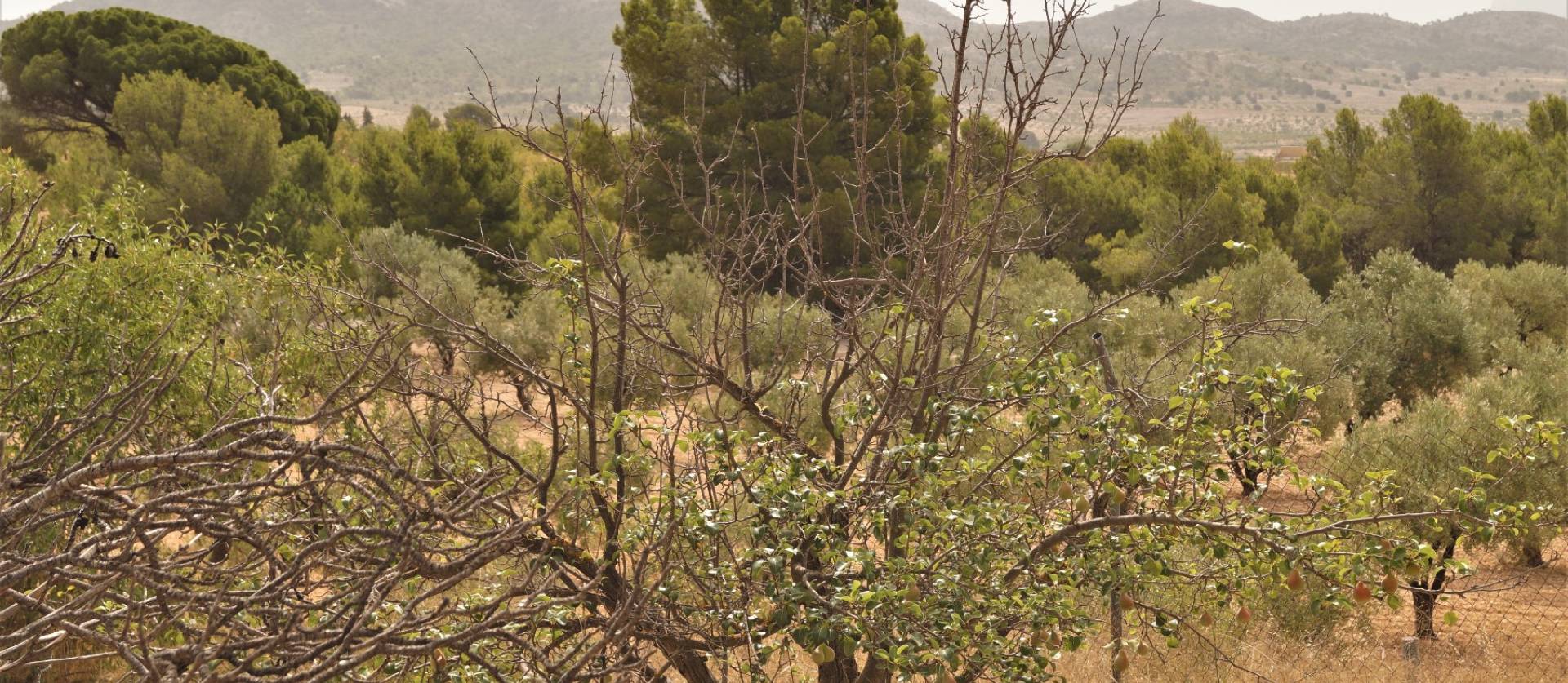 Sale - Commercial - Salinas