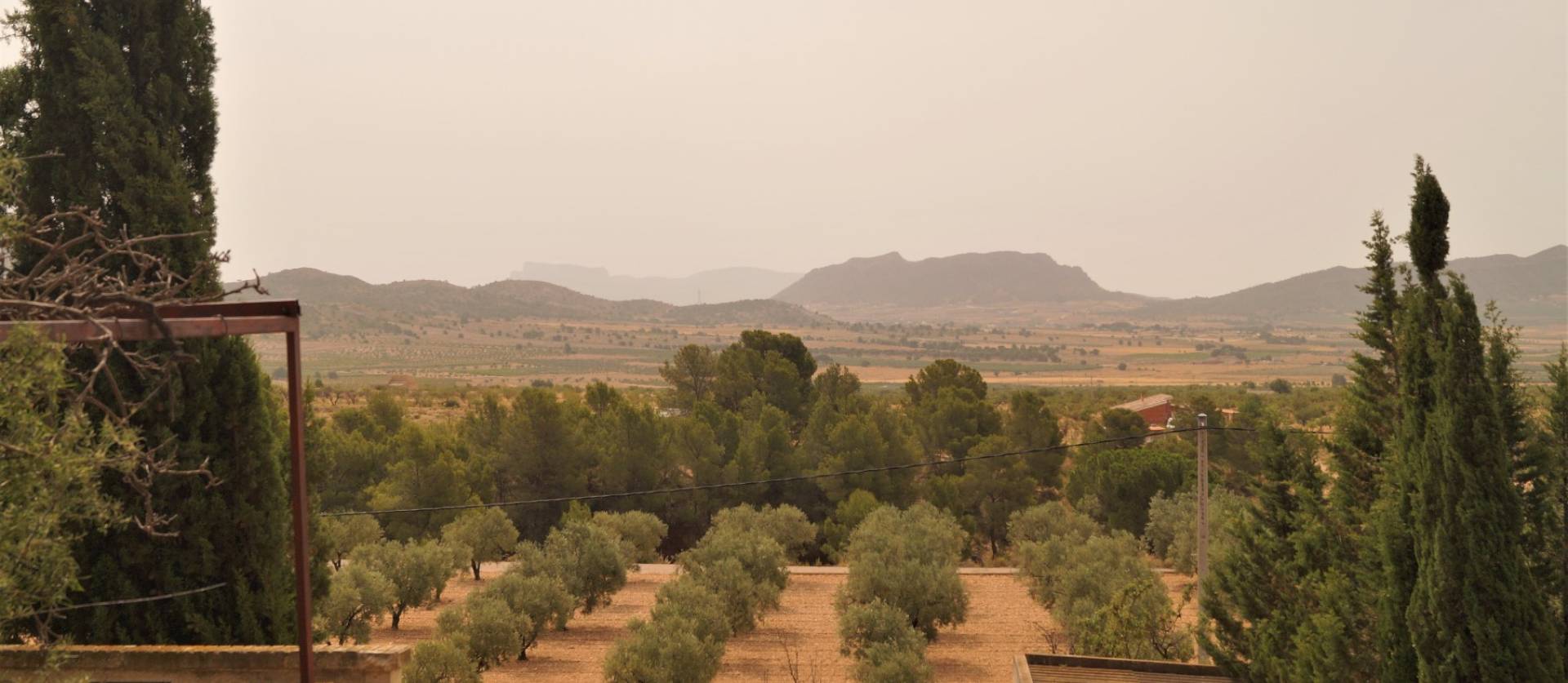 Sale - Commercial - Salinas