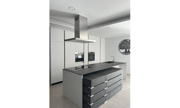 Sale - Off Plan/New Build Villa - Pinoso