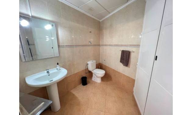 Sale - Commercial - Guardamar del Segura