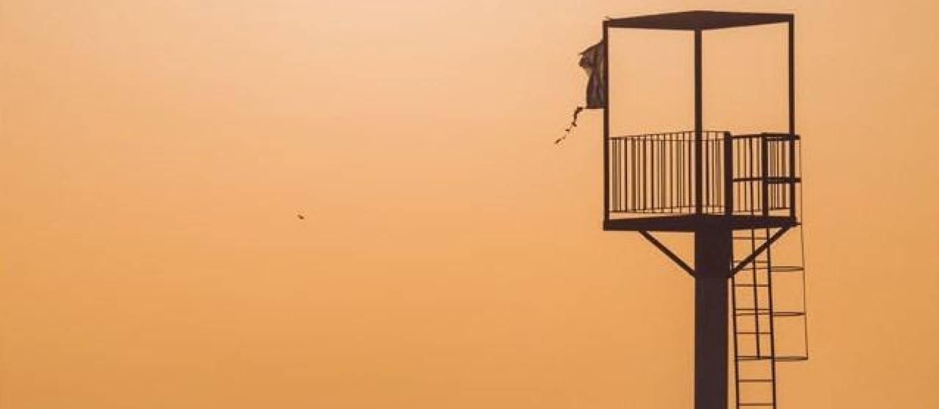 Nueva construcción  - Apartment - Almerimar - 1ª Linea De Playa